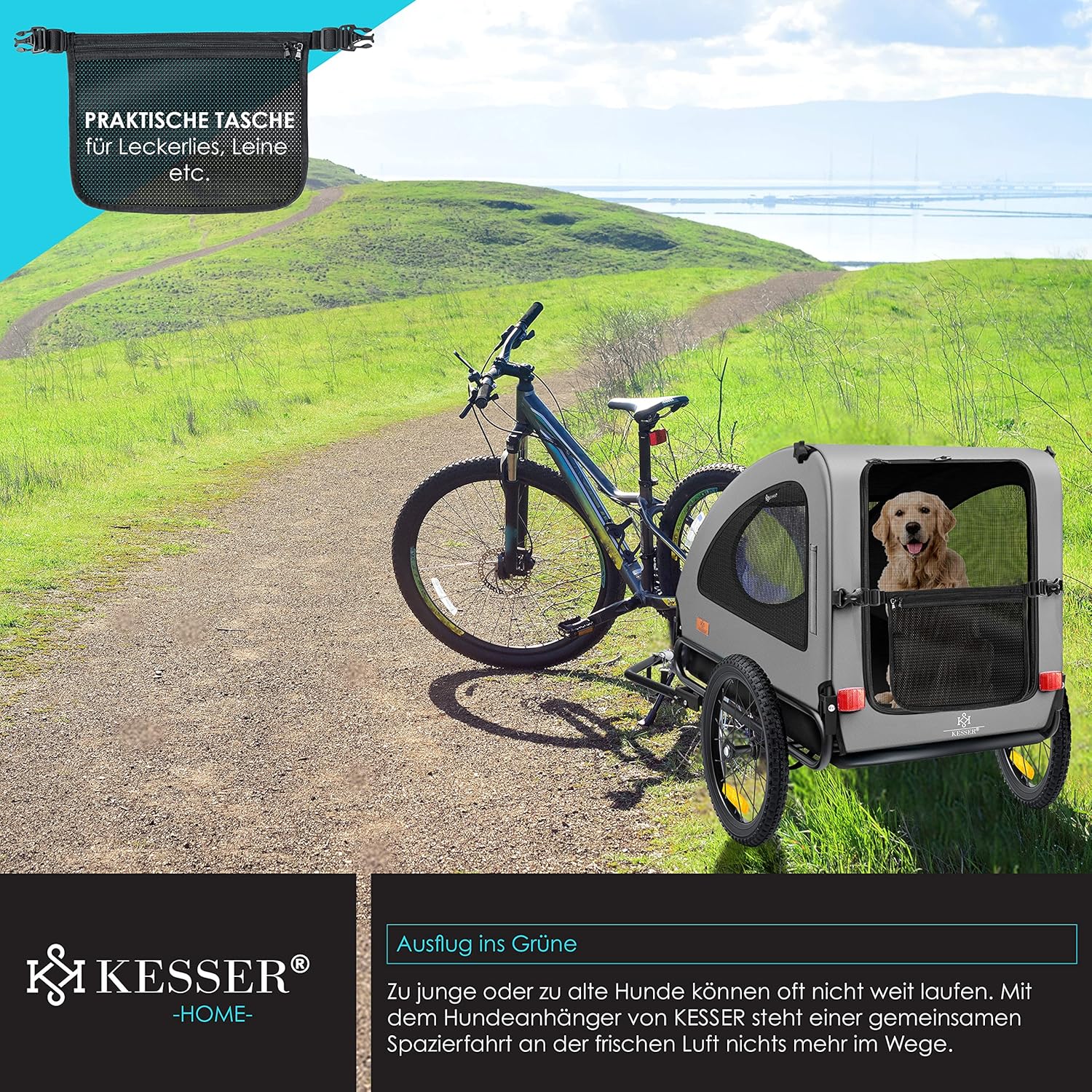 KESSER® Hundeanhänger Boxer 2-in-1 Hundebuggy Fahrradanhänger groß ca. 250L Volumen - Inkl. Fahne und Tasche - 600D Oxford Canvas, Klappbar SmartSpace Concept, max. 45kg — Ansicht 6
